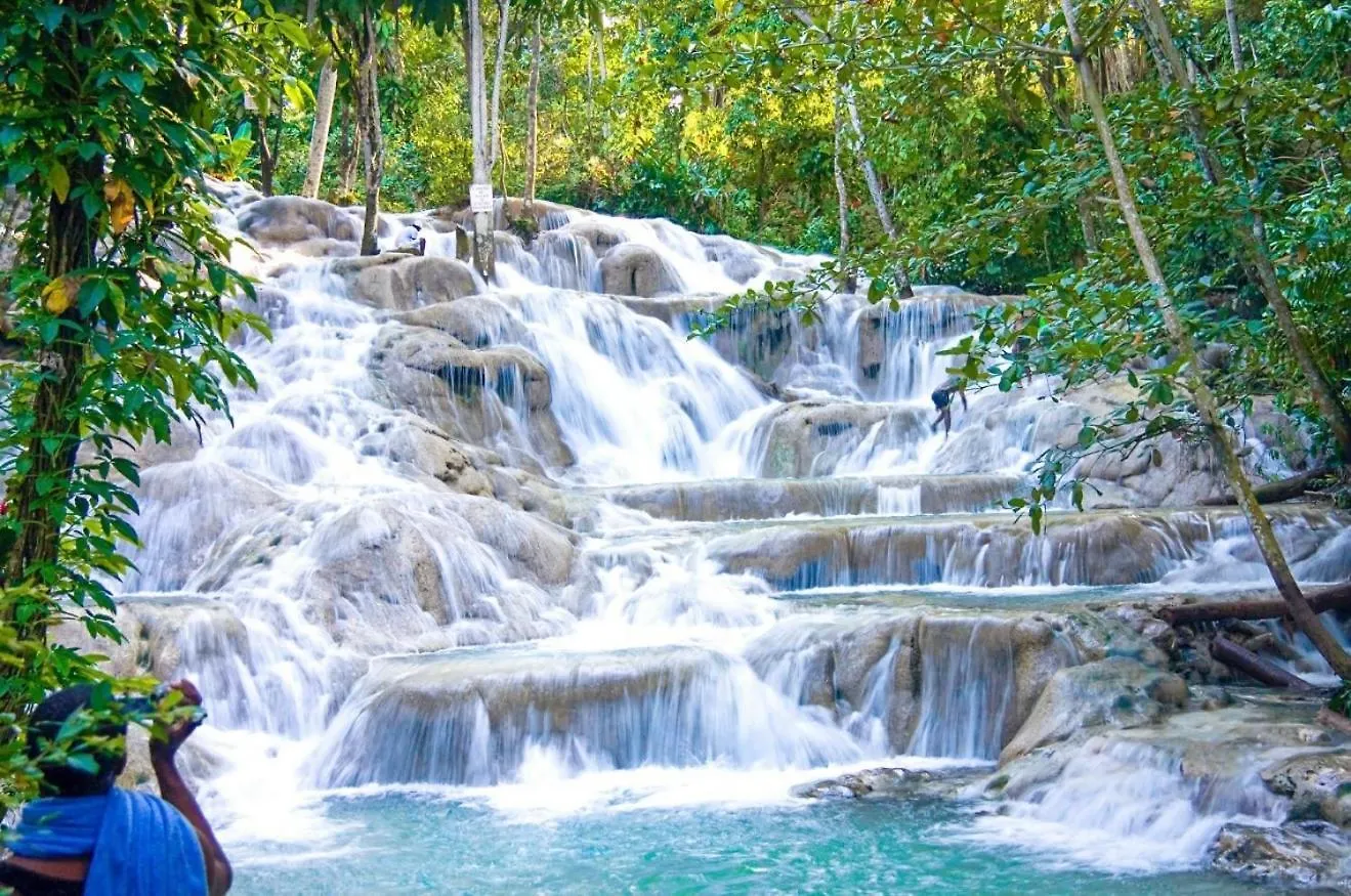 ホームステイ Modern Oasis Near Dunns River Falls Saint Maryʼs