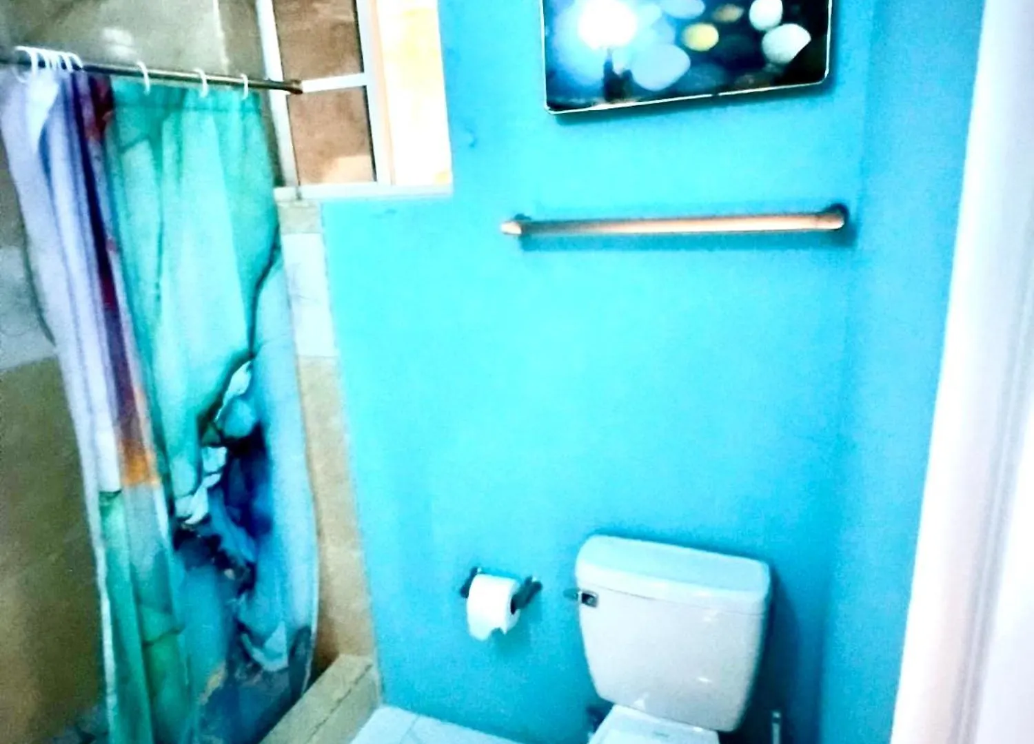 ホームステイ Modern Oasis Near Dunns River Falls Saint Maryʼs